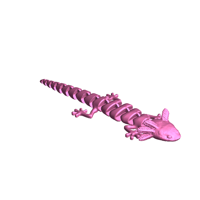 Axolotl_Fixed_HiRes