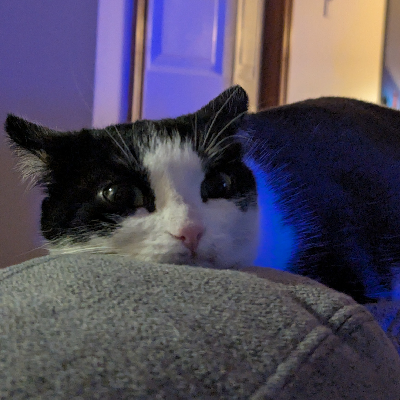 avatar of Evie 's dad