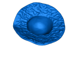 ranni-2