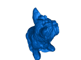yorkie-0