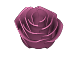rose -0