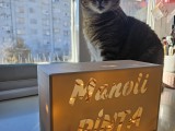 Customizable LED Box-0