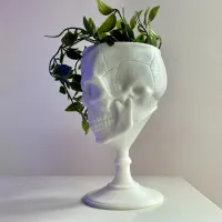 SCULL GOBLET - PRINT IN PLACE-6