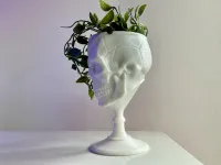 SCULL GOBLET - PRINT IN PLACE-6