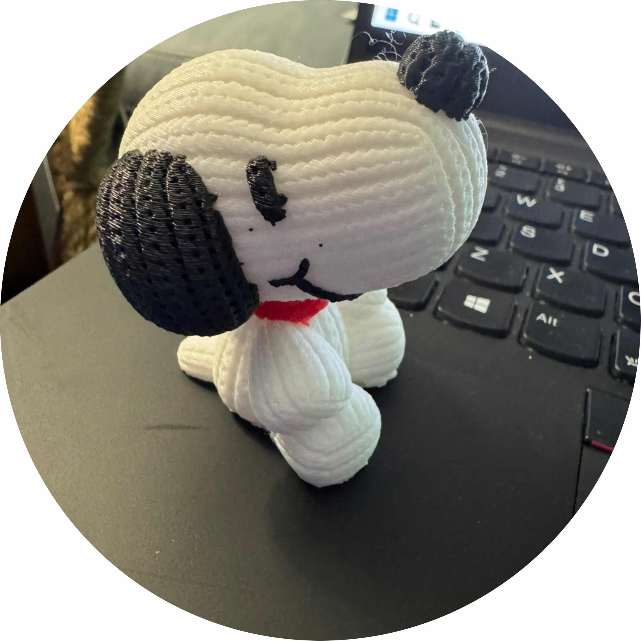avatar of The KT team