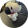 avatar of The KT team