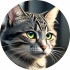 avatar of BigNERD427