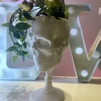 SCULL GOBLET - PRINT IN PLACE-3