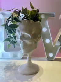 SCULL GOBLET - PRINT IN PLACE-3