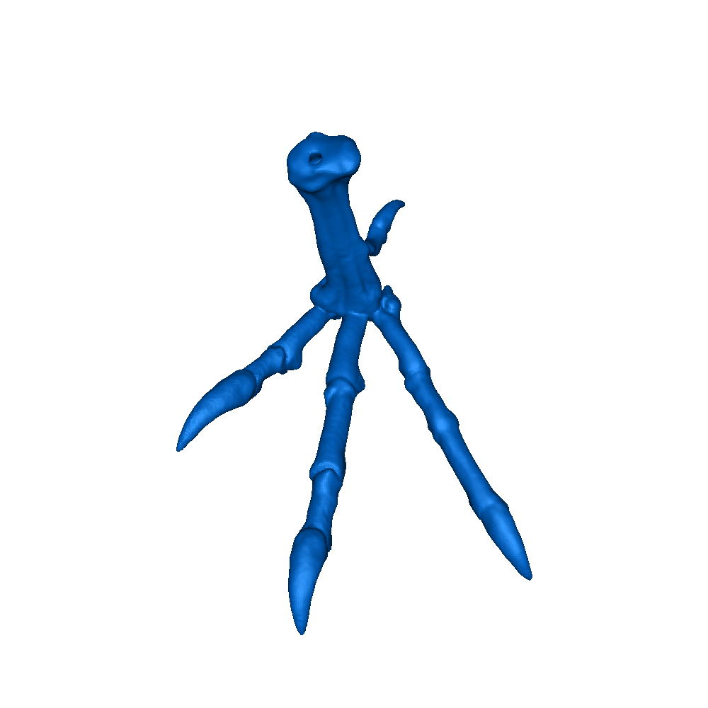 🦤 dodo bird skeleton 