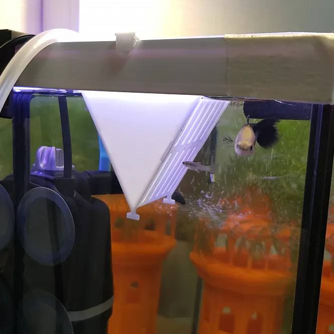 Mangiatoia per vermi in acquario