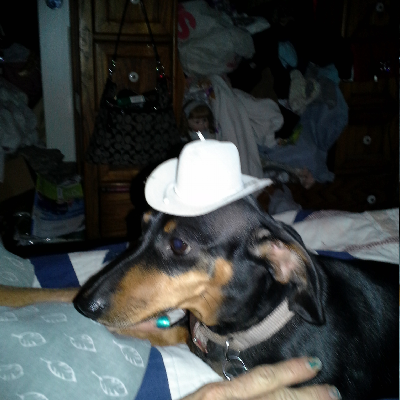 avatar of Dlfisher66