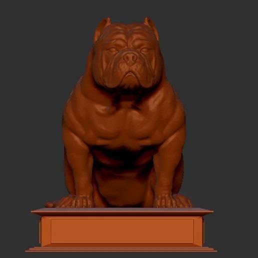 american bully sentado 