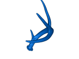 Deer Antler -4