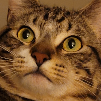 avatar of CoopCoop11