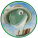 avatar of Mate Feher