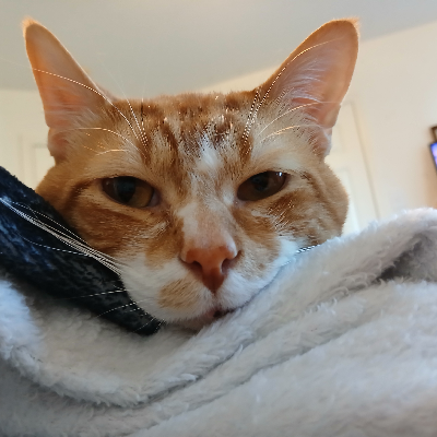 avatar of Flerken