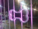 Bone Accessory led neon-1