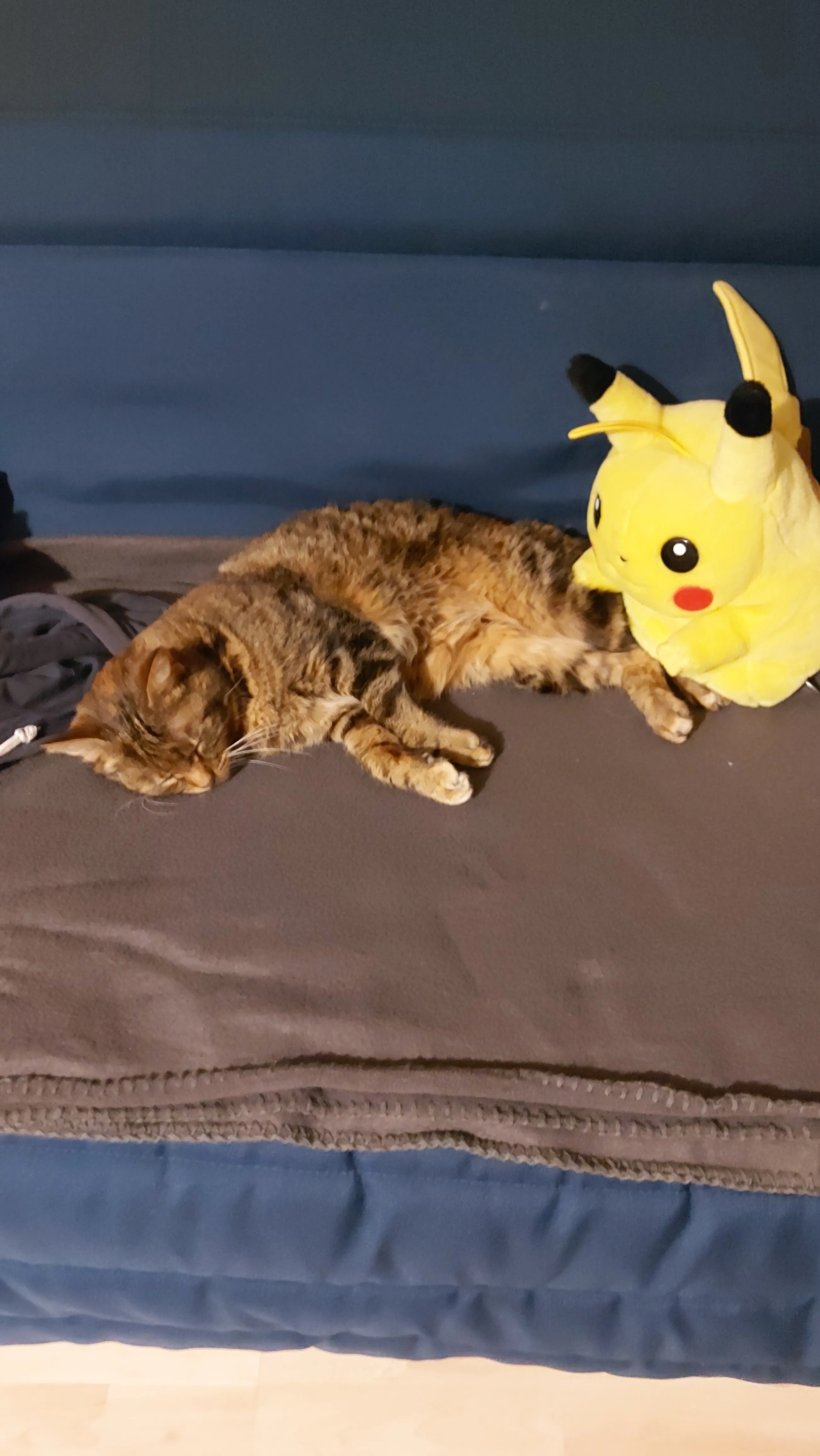 3D Pokemon