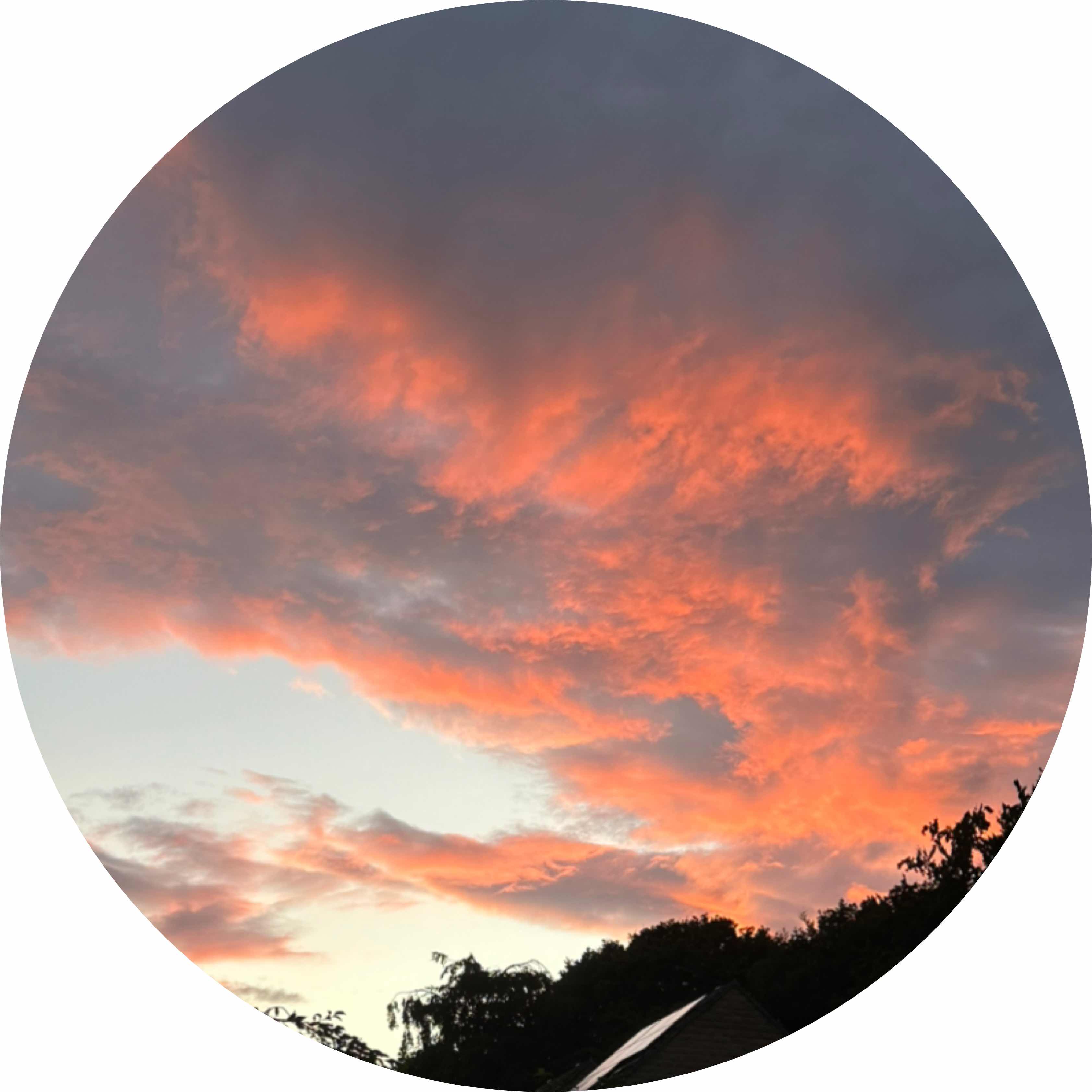 avatar of HarriboJG