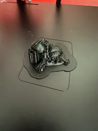 Dragon Turtle Baby-2