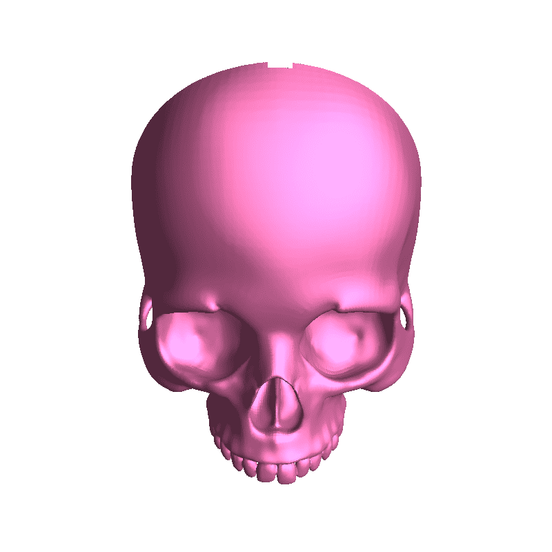 3D Skull X Keyholder Keychain Holder Halloween Specials