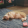 avatar of Lazy