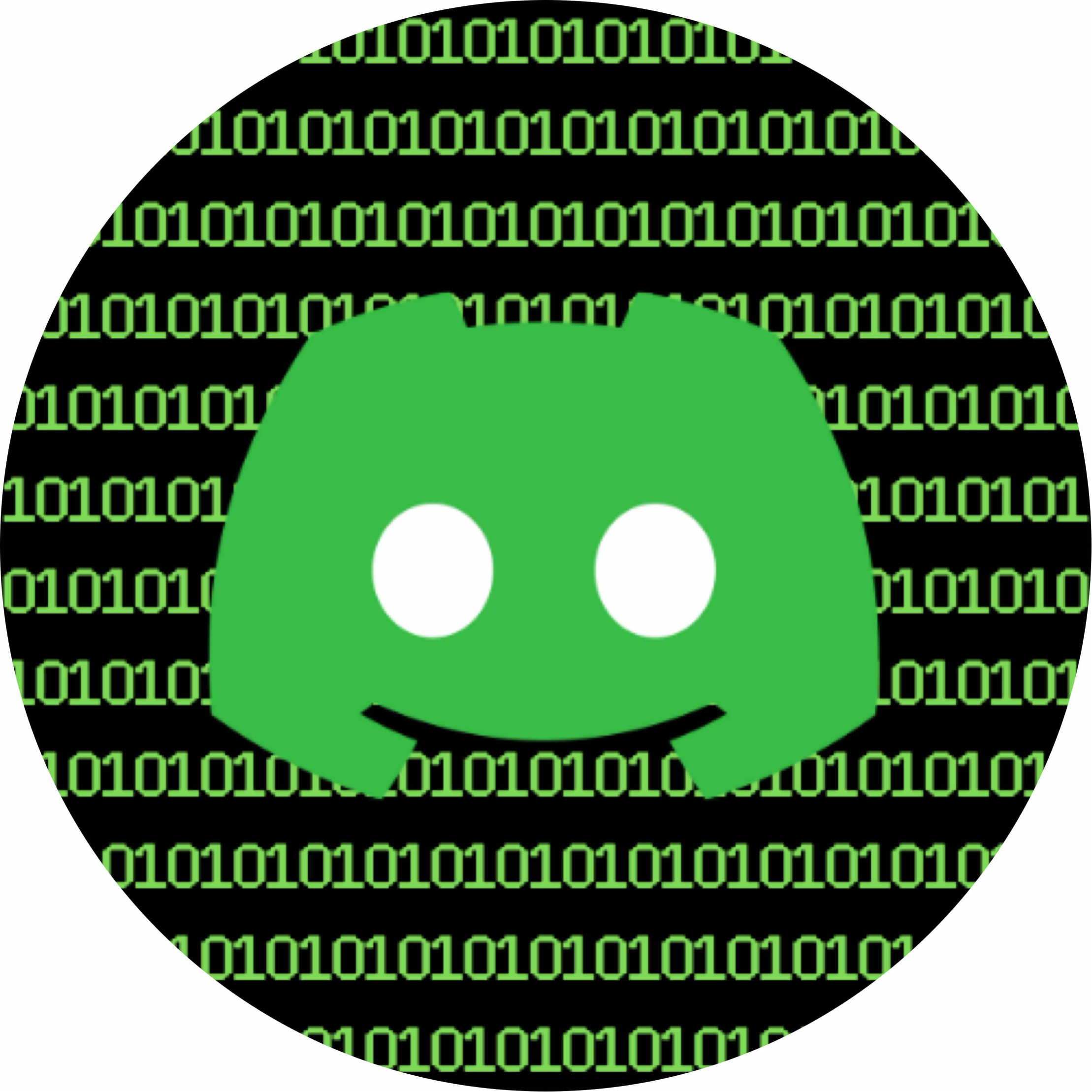avatar of Hackerkid2025