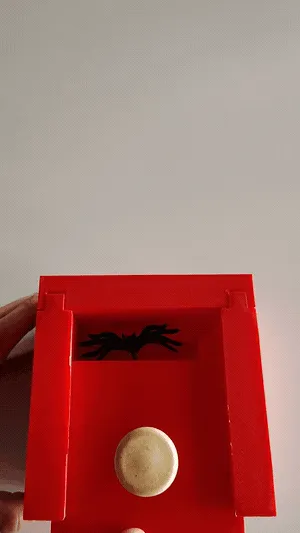 Scary spider box 