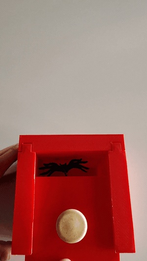 Scary spider box 