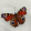 avatar of Okn_klyc