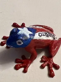 Frog-2
