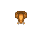 Adler -0