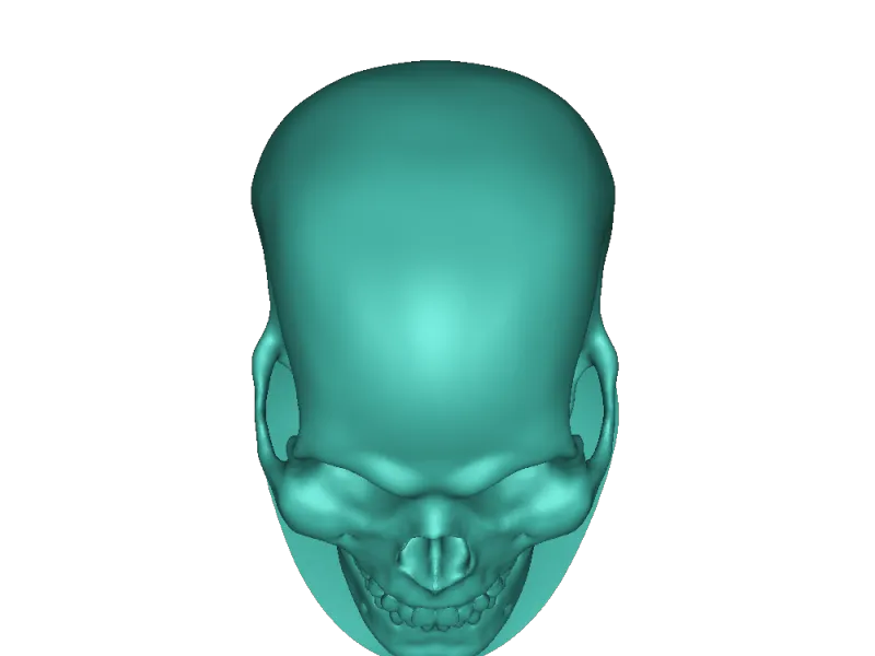 scaphandre 