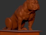 american bully sentado -1
