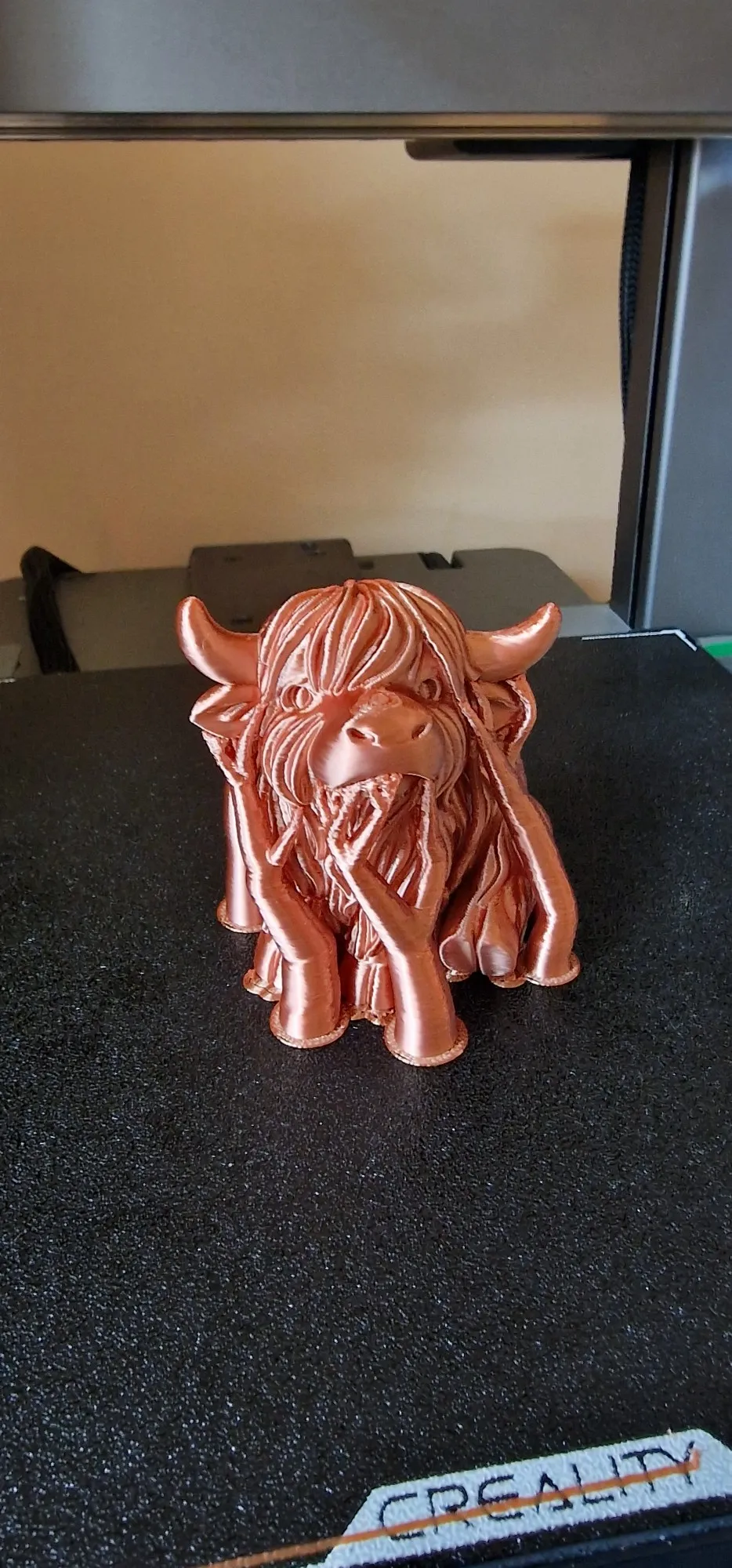 Chonky Highland Cow – Shaggy Horned Cutie-6