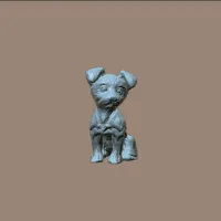 Yorkshire Terrier-6