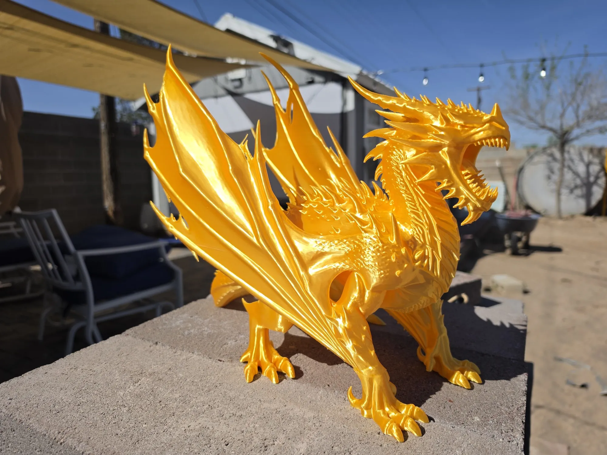 ANCIENT dragon-5