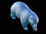Bear-5