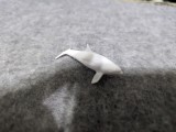 whale-7