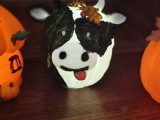 pumpkin cow-3