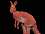 kangaroo -5