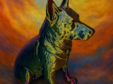 Dog - BlueHeeler-0