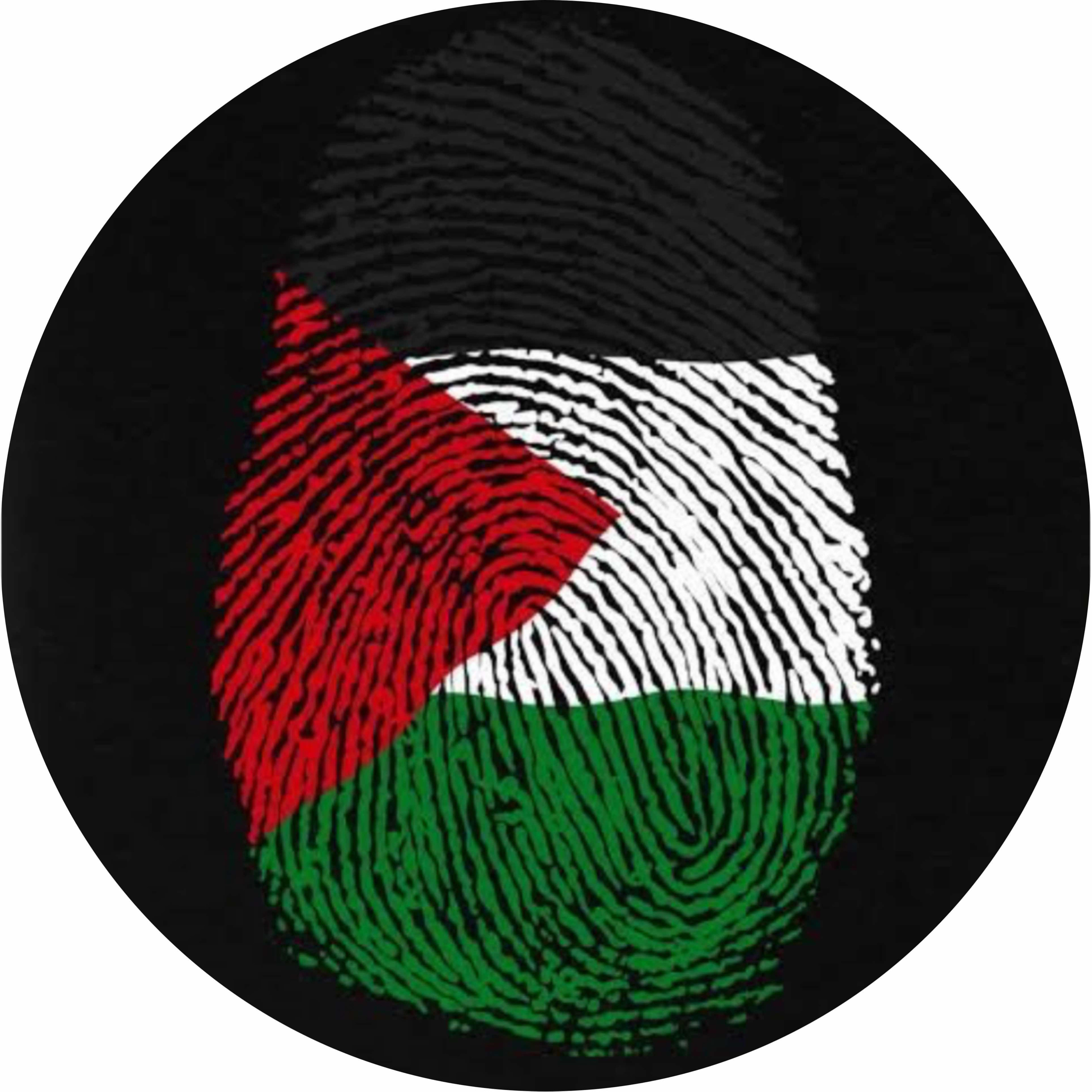 avatar of M Derba