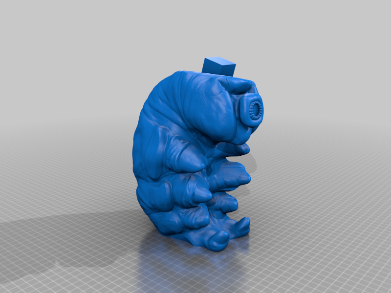 Tardigrade With a Top Hat