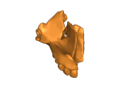 magnitic skull-8