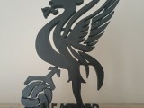 liver.bird-0