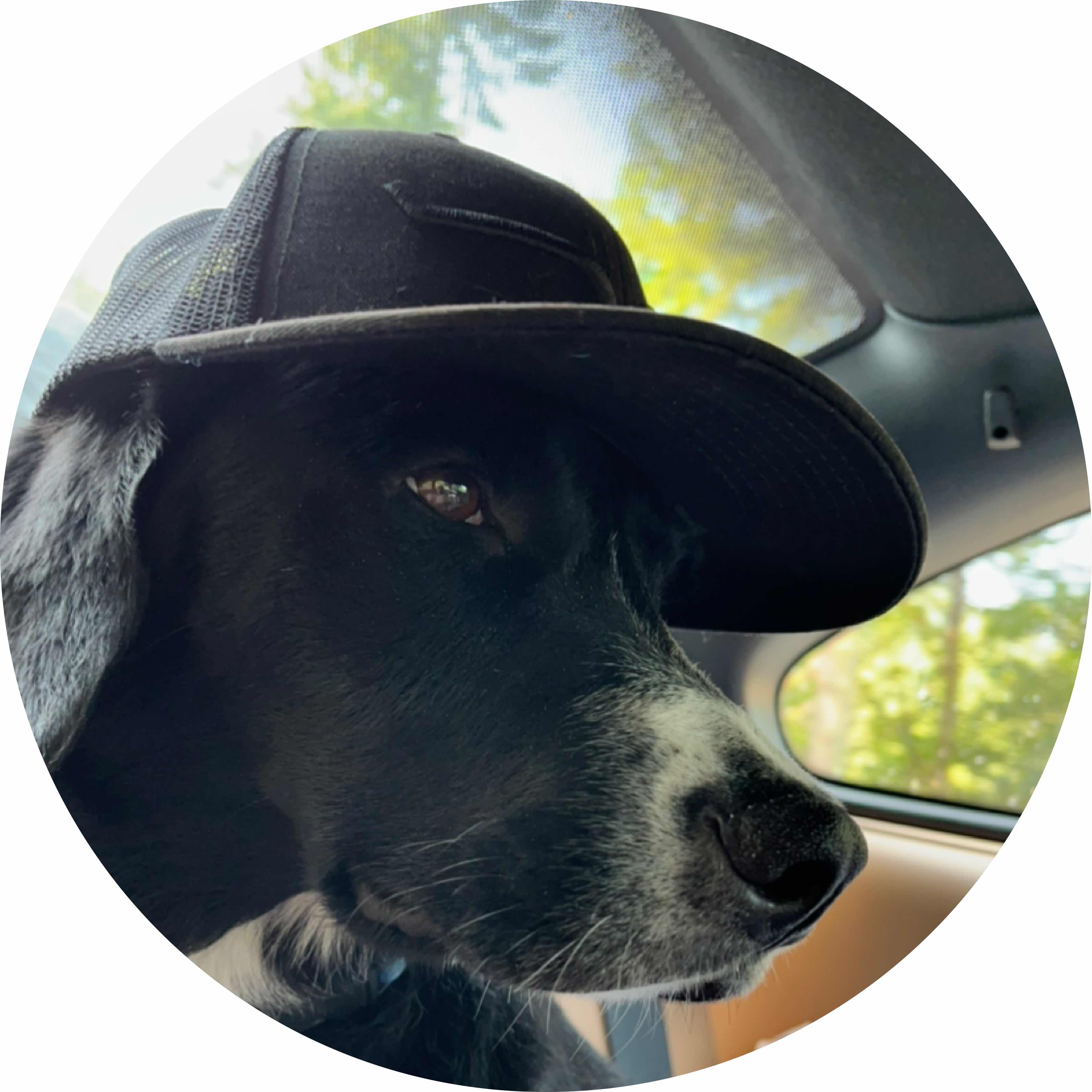 avatar of issPeterParker