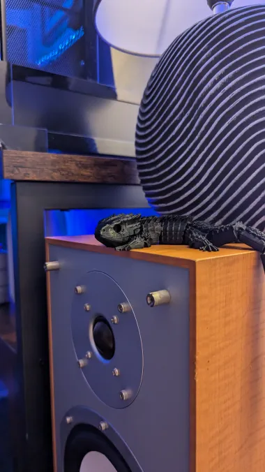 Red Eyed Crocodile Skink-1