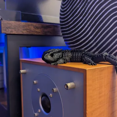 Red Eyed Crocodile Skink-1